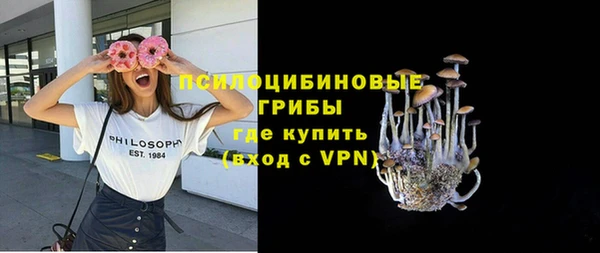 СК Алзамай