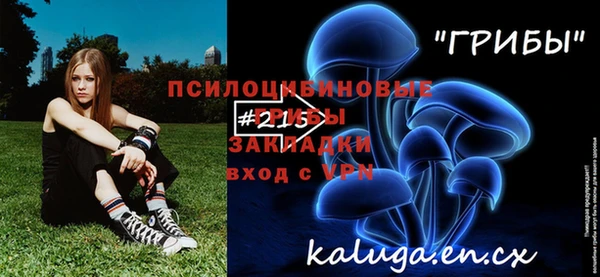 хмурый Алексеевка