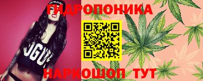 экстази Шахты