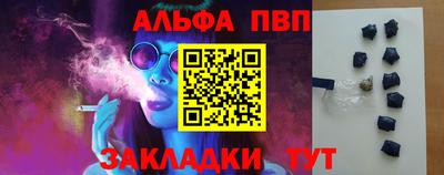 прущие грибы Ярославль