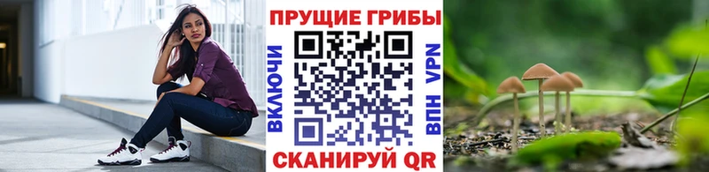 Галлюциногенные грибы Cubensis закладки Аргун