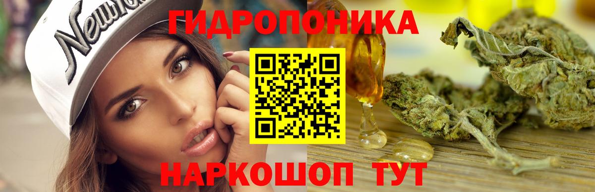 Конопля MAZAR Аргун